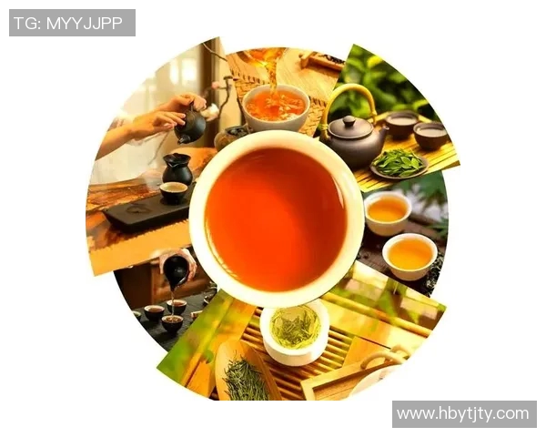 茶行为中心探索：茶文化的深层次价值与现代生活的融合之道